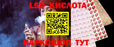 мяу мяу мука Кингисепп